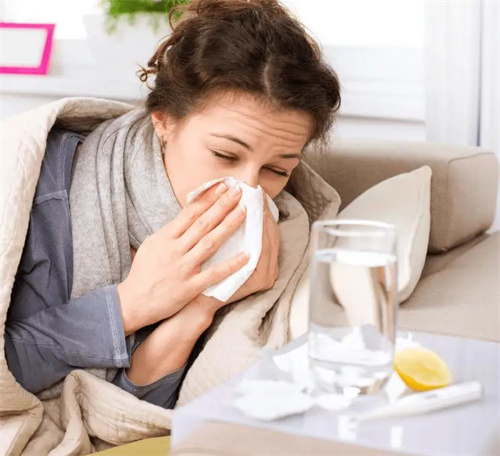 筑牢免疫“长城”：解锁身体防御密码