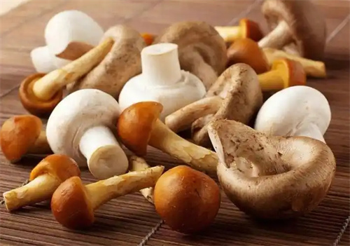 素食中的“嘌呤大户”被揪出!尿酸高的人,这4种菜,谨慎食用!