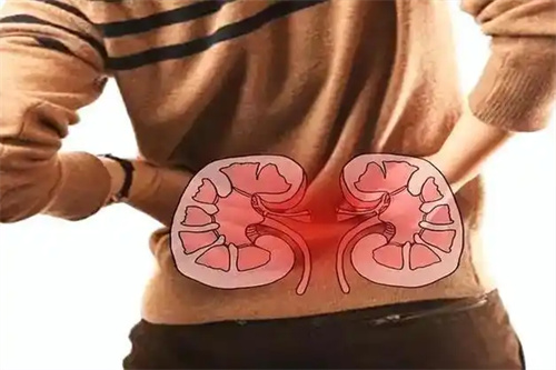 一喝水尿就多，这说明肾脏好还是不好？医生终于说了大实话