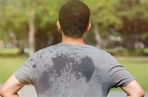 夏天总出汗？可能是身体阳气“漏风”了，两味药帮你补回来