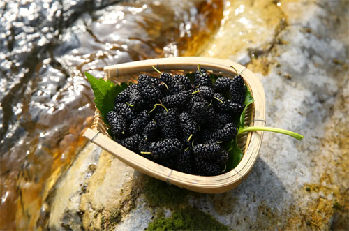 越是气血不足越要吃,这种水果,帮你把气血都补回来~