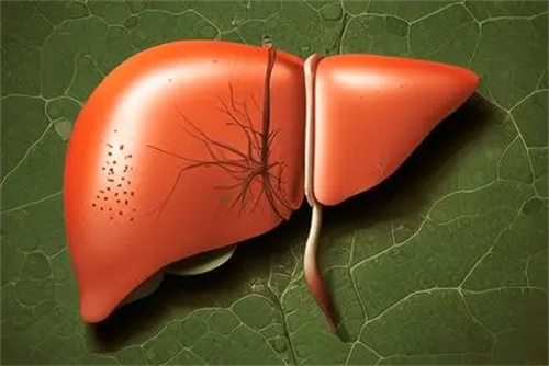 指甲上的小秘密:小竖纹竟是肝血不足的警报,这个中成药帮你轻松补回来!