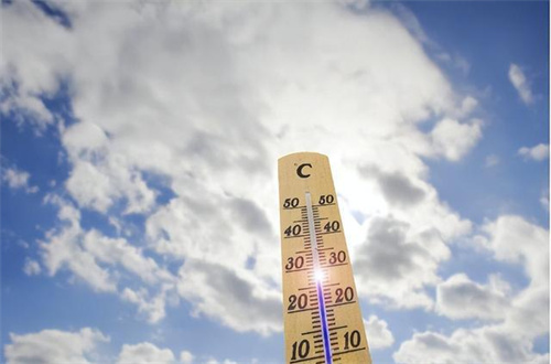 伏天易“出汗缺钾”，4种高钾食物助你清爽度夏