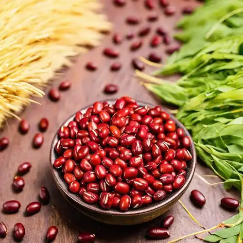 三伏天的“祛湿能手”，每天吃一点，排出湿毒，小肚腩也不见了！