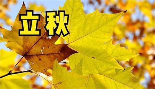 日立秋！远离“秋老虎”，进补二宝少不了！祛暑润秋燥，全家都受益！