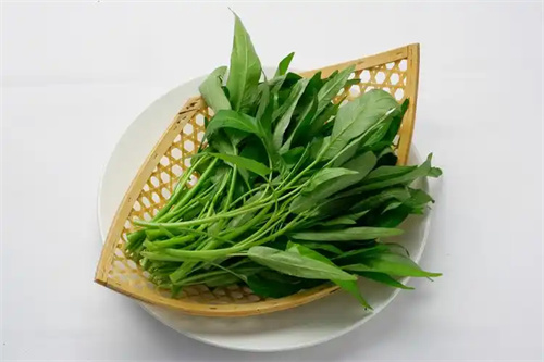 夏日“刮油神器”：空心菜，让大肚腩和便秘统统退散！