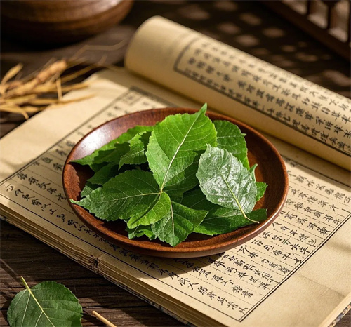 “神仙叶”揭秘:一片桑叶如何润肺养肝、明目护心?