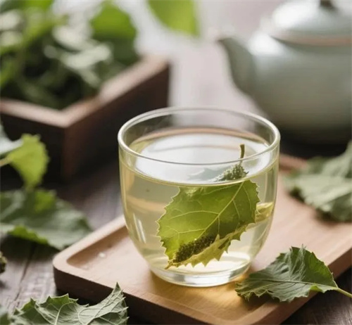 “神仙叶”揭秘:一片桑叶如何润肺养肝、明目护心?