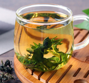 菜场最苦食材竟是护肝之王,连吃3天,促进肝排毒,肝好眼睛就好