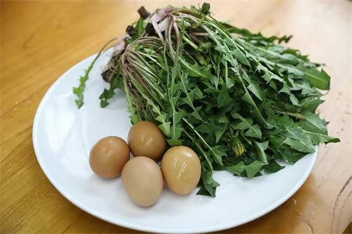 它被称为“散结草”,用它煮鸡蛋,散掉多种结节!