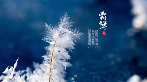 霜降一到寒气藏，养生黄金期养出全年好底子