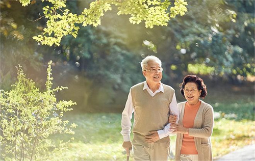 藏在身边的“健康守护神”:中老年餐桌的必备宝藏食材