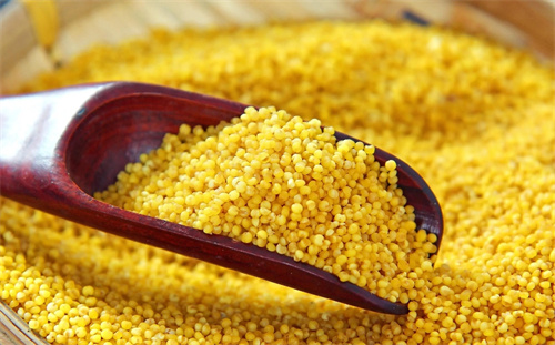 它是“五谷之首”,比大米更养人!可惜很多人吃不对,白白浪费营养