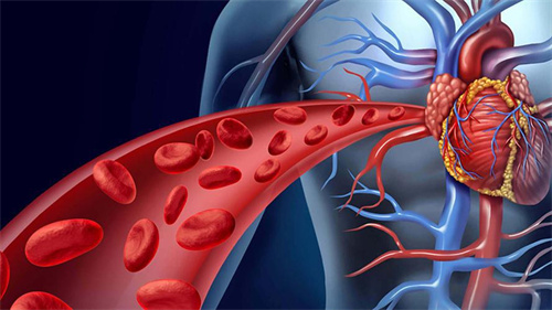 血管寿命决定你的寿命！护血管就吃这些，好吃还不贵，养护心脑超实用！