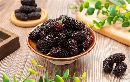 一颗小果子,一个月煮水喝,唤醒脾肾活力,解锁免疫力与记忆力双倍提升的奇迹!