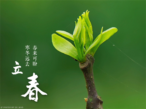 节气养生 | 今日立春，阳气升发之际，养生原则要变一变！牢记4点，为一整年的健康打好基础~