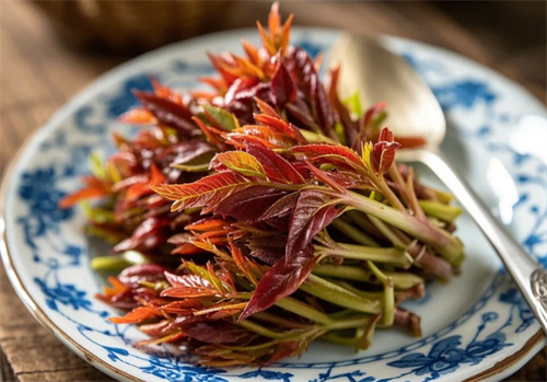 “春吃芽，赛过肉”！这5种春芽，疏通肝气、健脾和胃，懂行的人都在吃