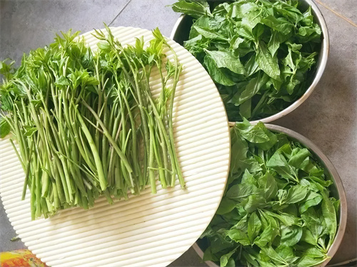 春食野菜“赛仙丹”！这口鲜，一定得尝