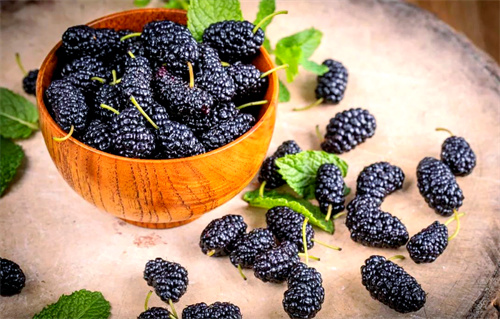 “补血圣果”桑葚将大量上市！4月起每天吃几颗，气色肉眼可见地好起来！