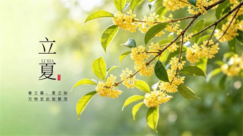 立夏后，身体最需要你吃这几样！养心益气、润肺生津，常吃精力旺、睡得香